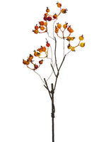 Orange Red
