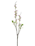 Cerise White