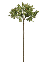 9.5" Berry Stem x2  Green (pack of 24)