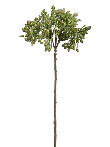 9.5" Berry Stem x2  Green (pack of 24)