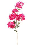 Two Tone Fuchsia