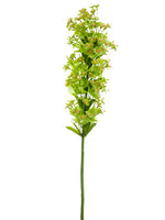 Green Violet
