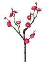Two Tone Fuchsia