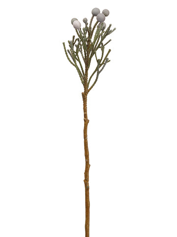 19.5" Brunia Spray x7  Gray Green (pack of 12)