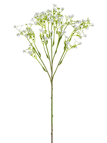 19" Baby's Breath Spray  White (pack of 12)