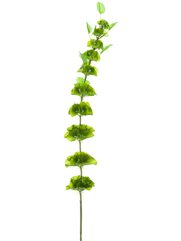 33" Bells of Ireland Spray  Green (pack of 12)