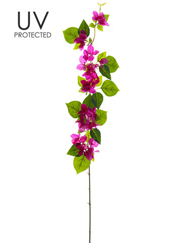 48" UV Protected Bougainvillea Spray Beauty (pack of 12)