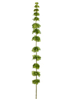 50" Bells of Ireland Spray  Green (pack of 12)