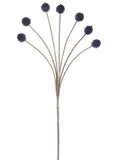 Blue Navy