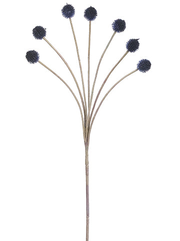 Blue Navy