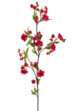 Beauty Cerise