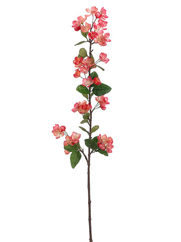 42" Apple Blossom Spray  Two Tone Coral (pack of 6)