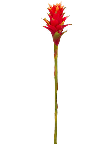 31" Costa Rican Bromeliad Spray Beauty Yellow (pack of 12)