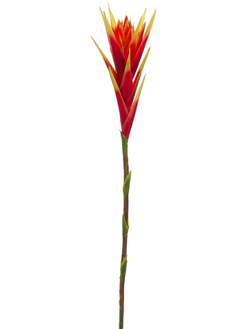 31" Hawaiian Bromeliad Spray  Red Green (pack of 12)