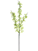 White Green