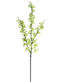 White Green