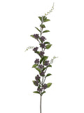 Two Tone Lavender