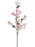 Cream Pink