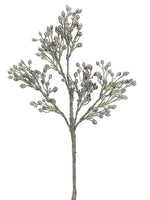 24" Berry Spray  Green Gray (pack of 12)