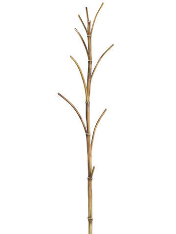 54" Mountain Bamboo Spray  Brown (pack of 6)
