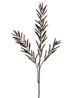 44" French Bean Spray  Brown (pack of 12)