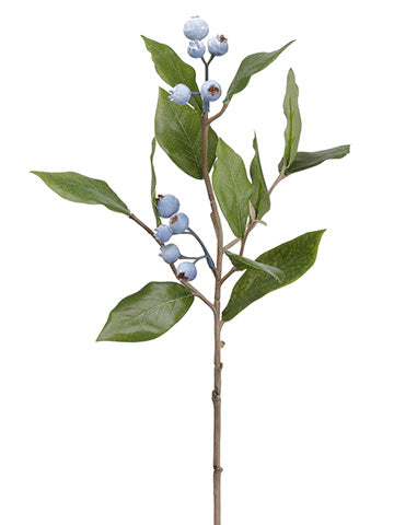 13" Blueberry Spray  Blue (pack of 12)