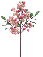 Pink Cream