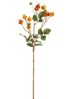 26" Rose Hip Spray  Orange Green (pack of 12)