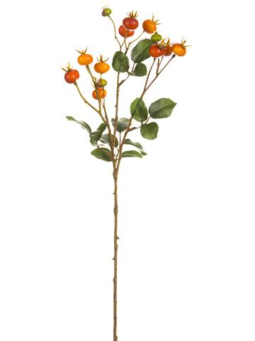26" Rose Hip Spray  Orange Green (pack of 12)