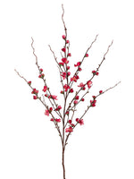 Cerise