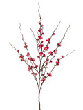 Cerise