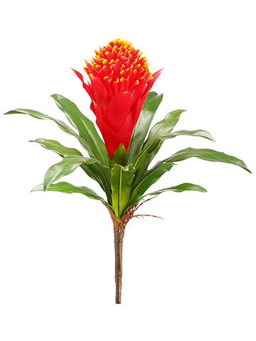 14" Bromeliad Spray  Flame (pack of 24)