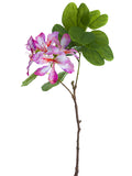 Pink Cerise