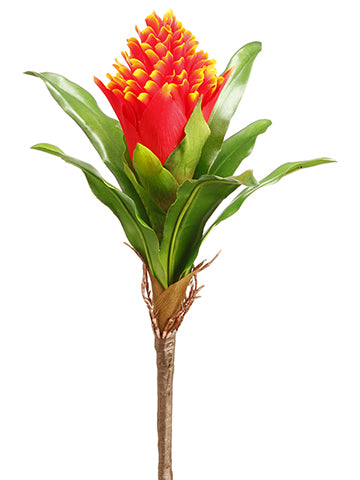 12" Bromeliad Spray  Flame (pack of 24)