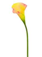 Yellow Flame