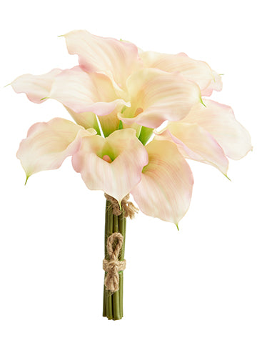 Pink Soft