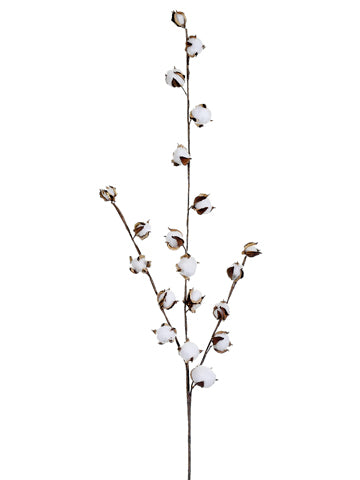 42" Cotton Spray  White (pack of 6)
