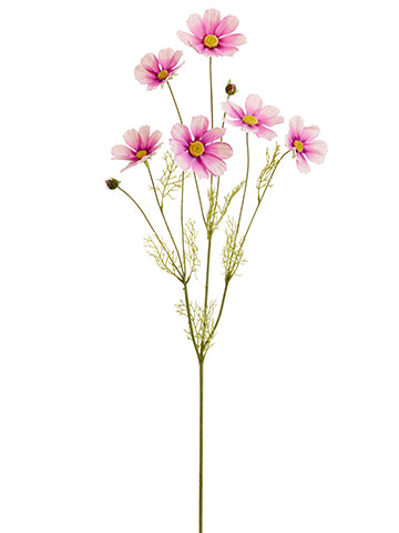 Two Tone Cerise