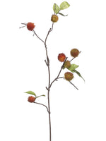 45" Mixed Chestnut Spray  Orange Olive Green (pack of 12)