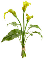 Green Yellow