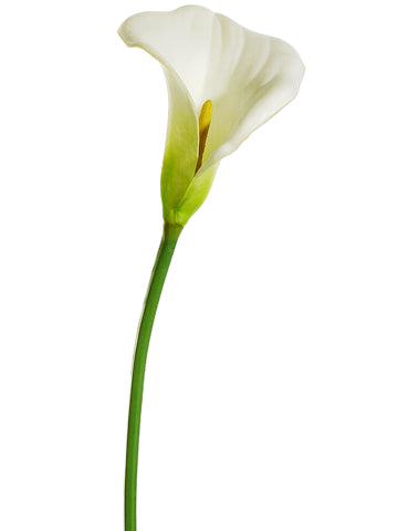 35" Calla Lily Spray  Cream (pack of 12)