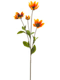 Flame Orange
