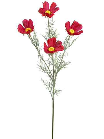 Beauty Red
