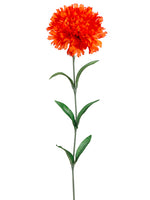 Two Tone Orange