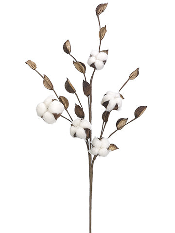 27" Cotton Spray  White Brown (pack of 12)