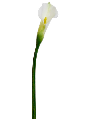 White Green