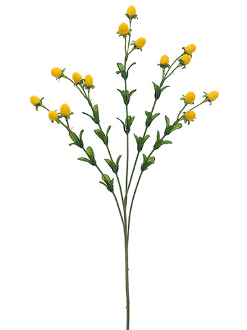 24" Currant Spray  Yellow (pack of 12)