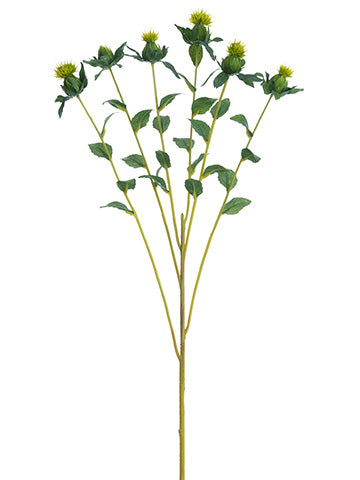 27" Carthamus Spray  Green (pack of 12)