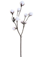 19" Cotton Spray x2  White (pack of 12)