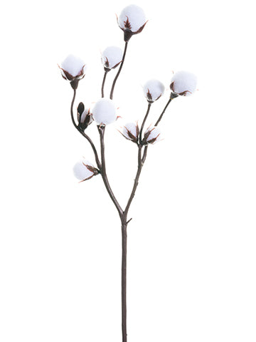 19" Cotton Spray x2  White (pack of 12)